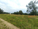 Działka budowlana Budy Zosine gm. Jaktorów, - 5