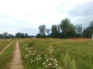 Działka budowlana Budy Zosine gm. Jaktorów, - 6