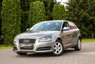 Audi A3 105KM Klimatronik Parktronik Lift - 2