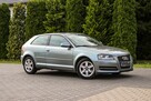 Audi A3 105KM Klimatronik Parktronik Lift - 6