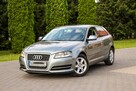 Audi A3 105KM Klimatronik Parktronik Lift - 13