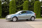 Audi A3 105KM Klimatronik Parktronik Lift - 14