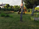 Działka ROD Pogodny w Kaliszu — 500 m², idealna dla rodziny - 11