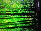 Sprzedam las - 3