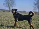 Koral czeka. Może właśnie na Ciebie - 3