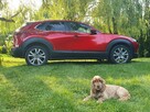 Mazda CX30 - 5