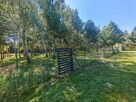 Madajka raj na krańcu świata - 2