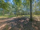 Madajka raj na krańcu świata - 11