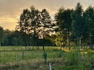 Działka leśna w pięknej okolicy