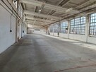 Lokal użytkowy Warszawa Białołęka - 2