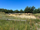 Działka z projektem + fundament 1500m2 Wymysłów - 10