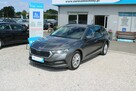Škoda Octavia AMBITION F-vat LED Salon Polska netto 57 642 PLN Gwarancja - 2