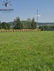 Podgórzyn. Działka  z wydanymi warunkami zabudowy. - 5