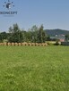Podgórzyn. Działka  z wydanymi warunkami zabudowy. - 7
