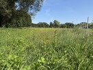 Działka rolna Budy Zosine gm. Jaktorów - 4
