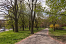 3 pokoje ul. Batuty, Mokotów, metro Służew, balkon - 12