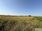 Działka rolna Mędrzechów - 1