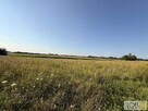 Działka rolna Mędrzechów - 2