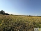 Działka rolna Mędrzechów - 3