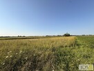 Działka rolna Mędrzechów - 4