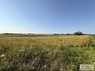 Działka rolna Mędrzechów - 6