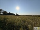 Działka rolna Mędrzechów - 11