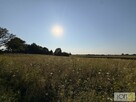 Działka rolna Mędrzechów - 13