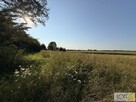 Działka rolna Mędrzechów - 14