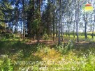 Działka budowlana Kuranów gm. Radziejowice