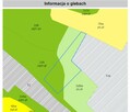 Działka 4295 m² – złożony wniosek o WZ na dwa domy - 6