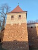 Przewodnik po Bolesławiu i jego okolicach - 6