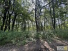 Działka budowlana Radlna gm. Tarnów - 11