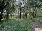 Działka budowlana Radlna gm. Tarnów - 12