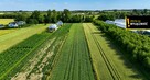 Działka budowlana Niemścice gm. Staszów, - 5