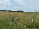 Działka budowlana w Przybiernowie - 6