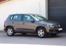 Volkswagen Tiguan Klimatronic /Gwarancja /Asystent Parkowania /2013 - 13