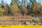 DUŻY TEREN INWESTYCYJNY 6800 m² CHOSZCZÓWKA - 8