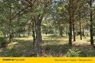 Atrakcyjne, zadrzewione działki budowlane 1127m2 - 7