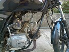Barton dafier - 1