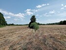 łąka 5,32ha na sprzedaż - 5