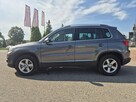 Volkswagen Tiguan - 8