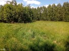 Działka budowlana Zagnańsk Tumlin - 2