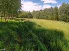 Działka budowlana Zagnańsk Tumlin - 3