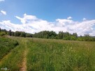 Działka budowlana Zagnańsk Tumlin - 11