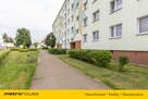 Zadbane mieszkanie 2 pokoje z loggią, na 1 piętrze - 14