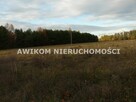 Działka usługowa Puszcza Mariańska - 3