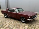 1965 Ford Mustang 289 v8 Automat Sprowadzony LUXURYCLASSIC - 3