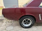 1965 Ford Mustang 289 v8 Automat Sprowadzony LUXURYCLASSIC - 14