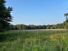 Działka rolna 9 846 m² przy lesie | Tanowo