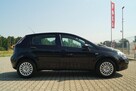 Fiat Punto Evo 2011R 1.4 BENZYNA 77KM STAN BDB ZADBANY OD PIERWSZEGO WŁAŚCICIELA - 8